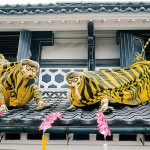 火伏せの虎舞　写真提供：宮城県観光課